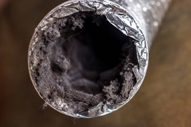 Best Air Vent Cleaning Services  in Marks, MS